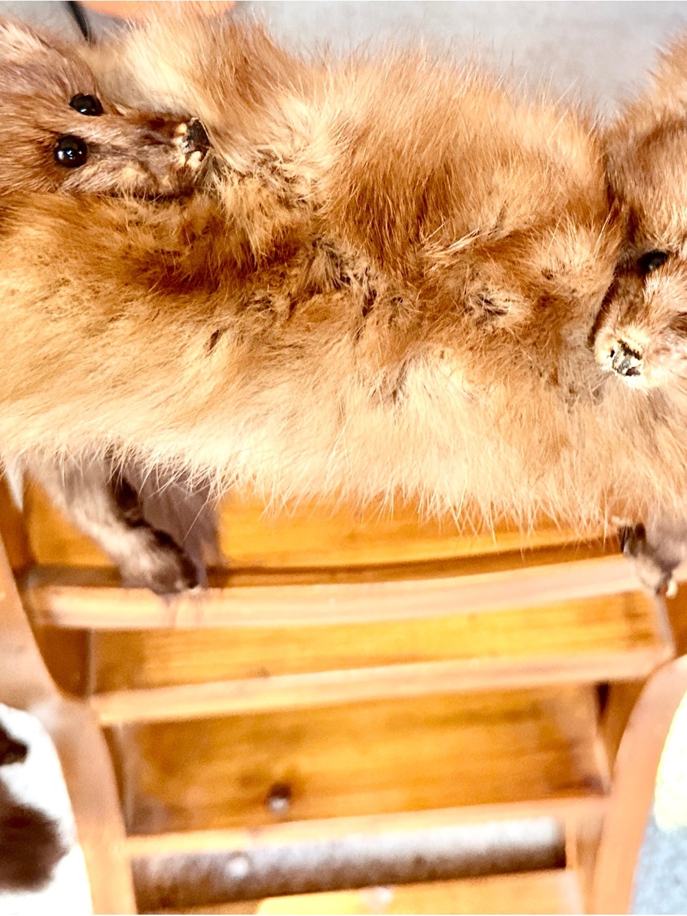 Vintage Fur Animal Scarf Stole Full Pelt Brown Fur Tails Claws Estate